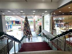 Grand Hyatt Singapore (D9), Shop House #605803811